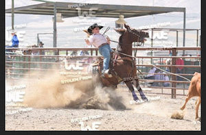 Meet your Posher, Quincy